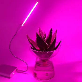 DC 5 U Mini prijenosni USB led lampa za uzgoj biljaka za cvijeće sjetva voćnog stabla povrća Fleksibilna cijev crvena plava lampa za biljke